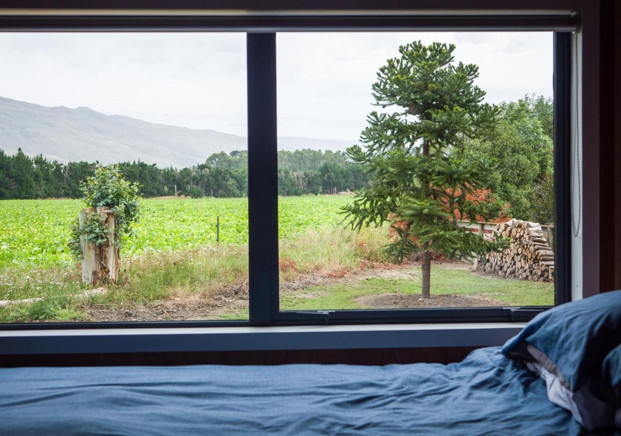 Honey Cottage In Ettrick Millers Flat Dış mekan fotoğraf